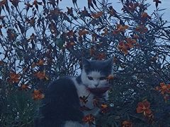 -丽江泸沽湖景区