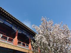 -恭王府博物馆