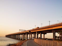 -宝安西湾红树林湿地公园