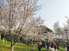 -堤角公园