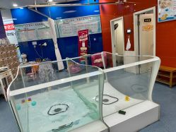 -海豚啵啵体智能游泳馆(惠山万达广场店)