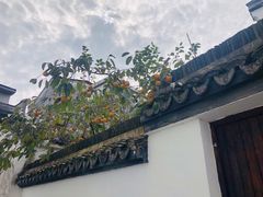 -丝绸小镇荻港古村