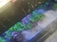 -街角等你.大连海鲜烧烤(西安路店)