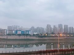 -李子坝梁山鸡(李子坝大鸡哥店)