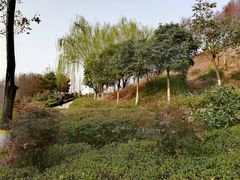 -西安青龙寺遗址景区