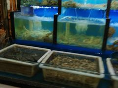 -老东镇啤酒屋海鲜加工·蒸汽海鲜·海鲜烧烤(台东店)