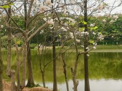 -东莞植物园