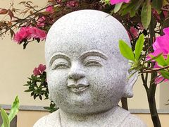 -星云文教馆