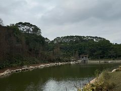 -广州市帽峰山景区