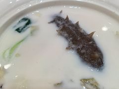 -鲁宴·鲁煨黄河生态大鲤鱼(月坛店)