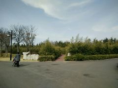 -莱西月湖公园