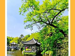 -叶家花园