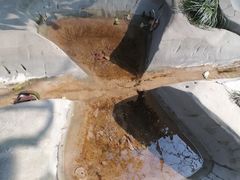 -活水公园