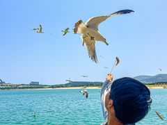 -海驴岛(荣成市)