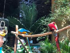 -杭州开元森泊度假乐园