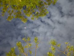 -深圳湾万象城(南山店)