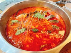 鮰鱼-芦苇荡·酸汤鱼(回龙观店)
