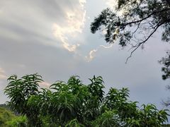 -桃花涧