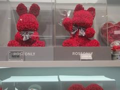-ROSEONLY诺誓(国际广场购物中心店)