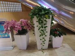 -富侨养生(九亭店)