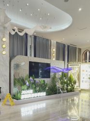 -深圳美莱医疗美容医院