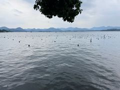 -杭州湖滨in77