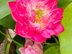 -上海植物园-4号门售票处