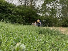 -北运河水利风景区
