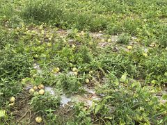 -常熟理文铂尔曼酒店