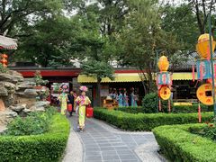-白家大院·王府宫廷菜(苏州街店)