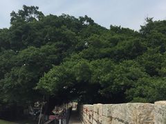 -胡里山炮台