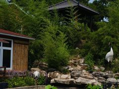 -丽泽山庄·生态怀柔菜·虹鳟鱼(红螺寺店)