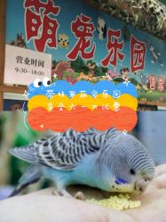 -萌宠亲子动物乐园(槐房万达店)