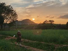 -光明小镇欢乐田园