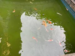 -海南文笔峰盘古文化旅游区