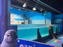 -沙沙哗啦海洋馆(华宇百花谷店)