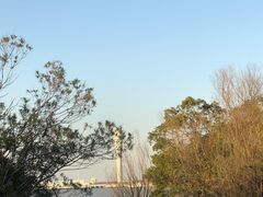 -上海吴淞炮台湾国家湿地公园