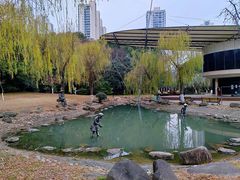 -苏州河梦清园环保主题公园