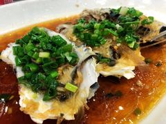 生蚝-星龙海鲜(望江东路店)