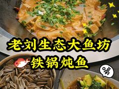 -老刘生态大鱼坊铁锅炖鱼(赛马场店)
