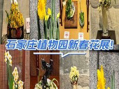 -石家庄市植物园