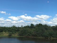 -长沙市青少年宫