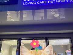 -关爱宠物医院·猫科中心·消化科(滨湖万达分院)