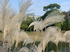 -同济大学(嘉定校区)