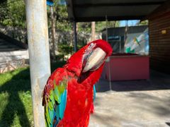 -石家庄市动物园