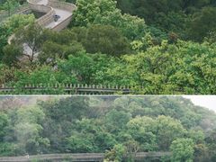 -福道