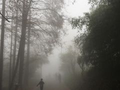 -山王坪喀斯特国家生态公园
