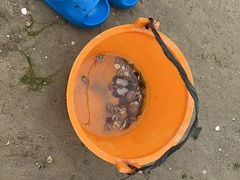 -北海金海湾红树林生态旅游区