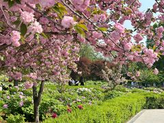 -洛阳市隋唐城遗址植物园