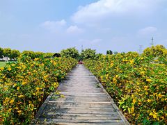 -广东花都香草世界旅游度假区